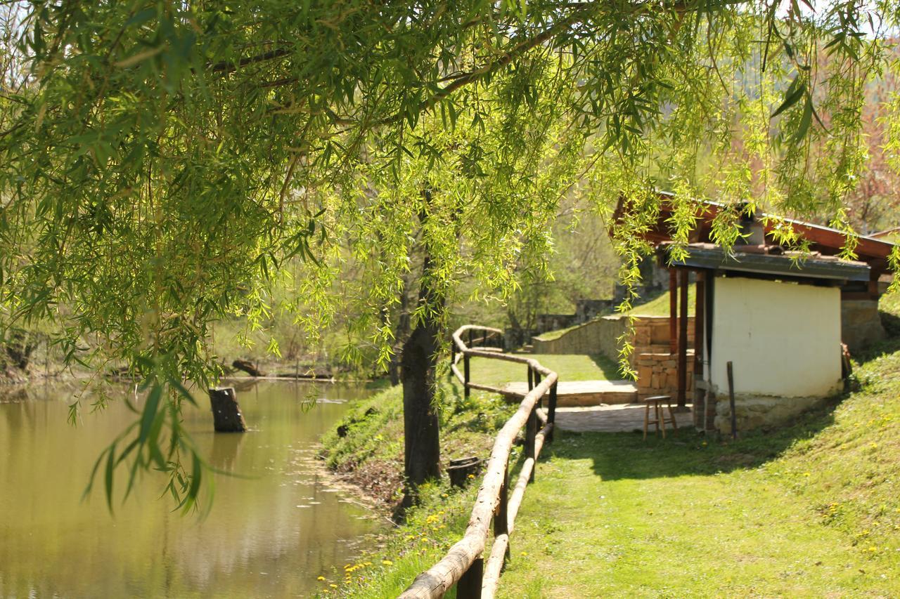 Villa Lavanda Elena Exteriér fotografie